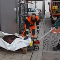 wildschwein-c-a-dillingen.jpg
